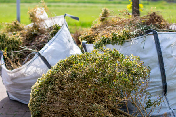 Debris Removal in West Elmira, NY