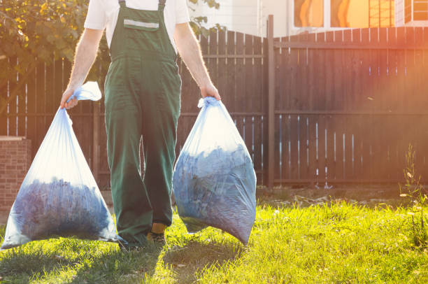 Best Professional Junk Removal  in West Elmira, NY
